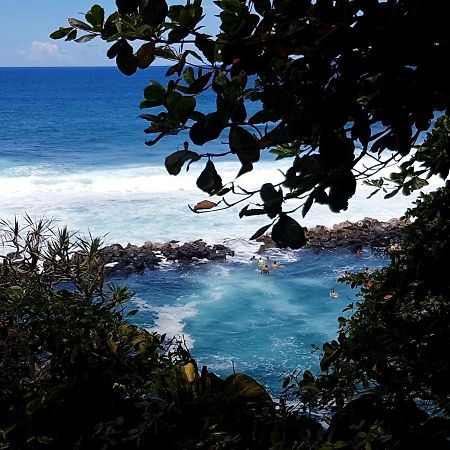 Le Gecko Vert Manapany-les Bains Buitenkant foto